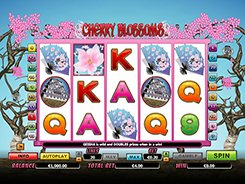 Cherry Blossoms slots